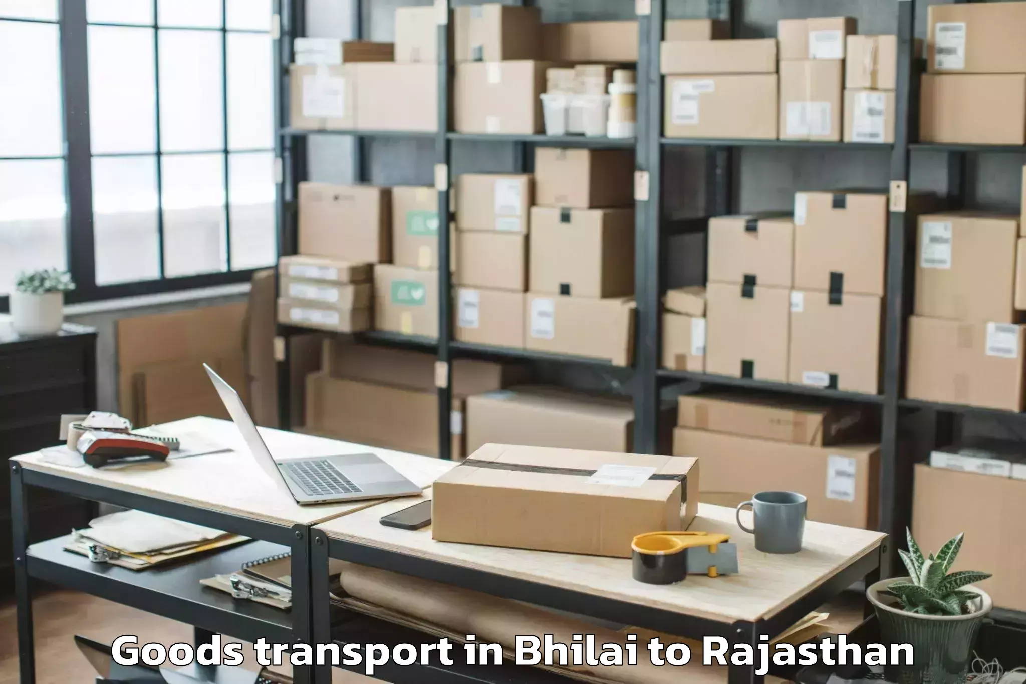 Affordable Bhilai to Bhasawar Goods Transport